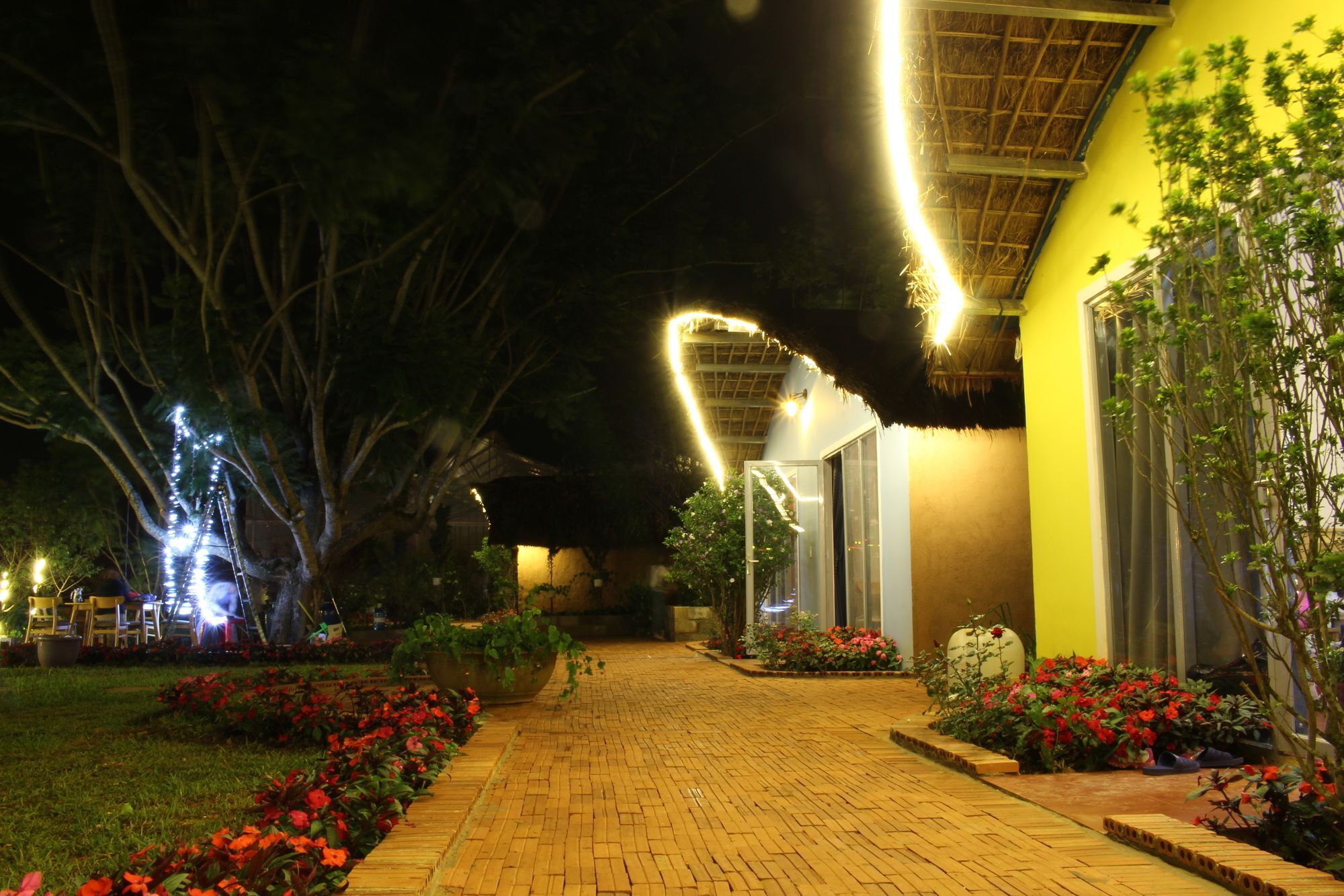 Cocoon Bungalow ดาลัด ภายนอก รูปภาพ
